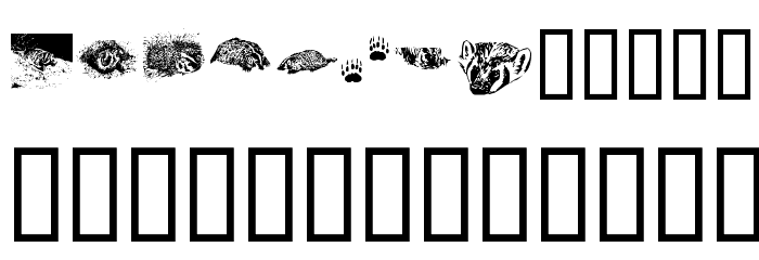 KR Crystal's Badgers Font LOWERCASE