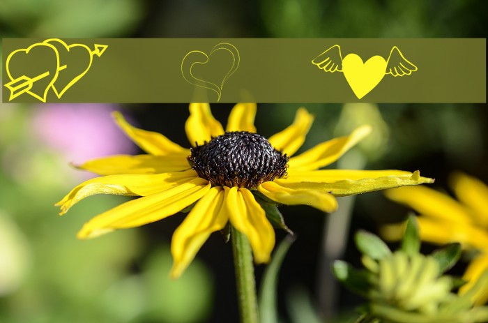 KR Cuori Divertenti 5 Font examples