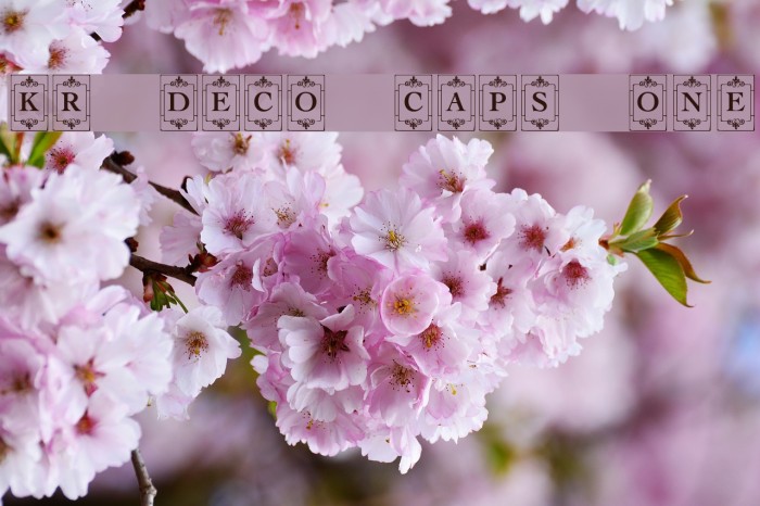 KR Deco Caps One Font examples