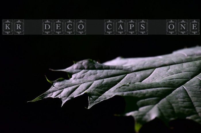 KR Deco Caps One Font examples