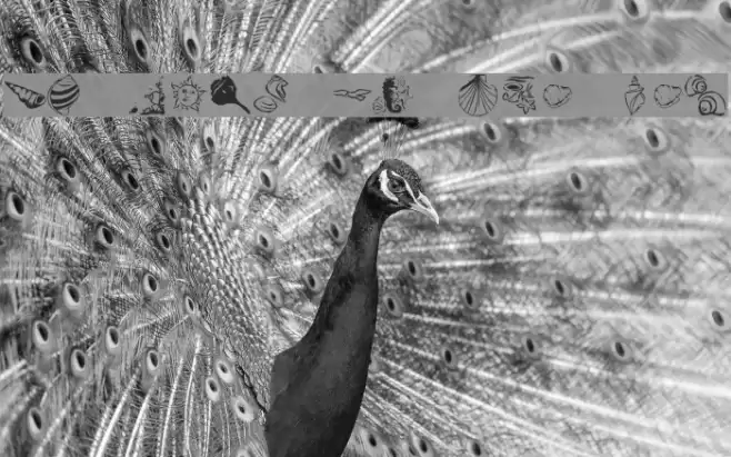 KR Down By The Sea Font examples