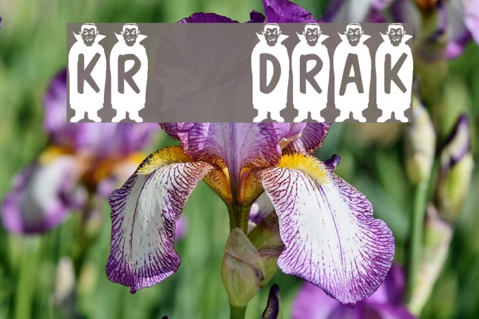 KR Drak Caratteri examples