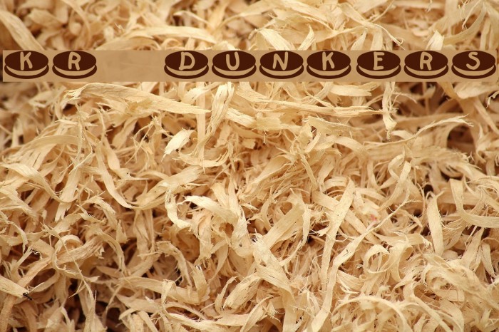 KR Dunkers Font examples