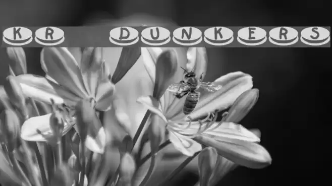 KR Dunkers Font examples