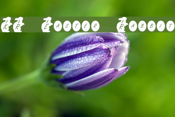 KR Easter Rabbit Font examples