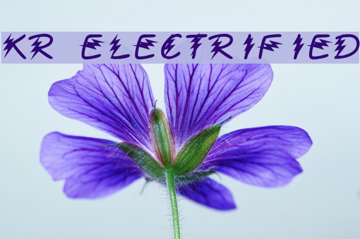 KR Electrified Font examples