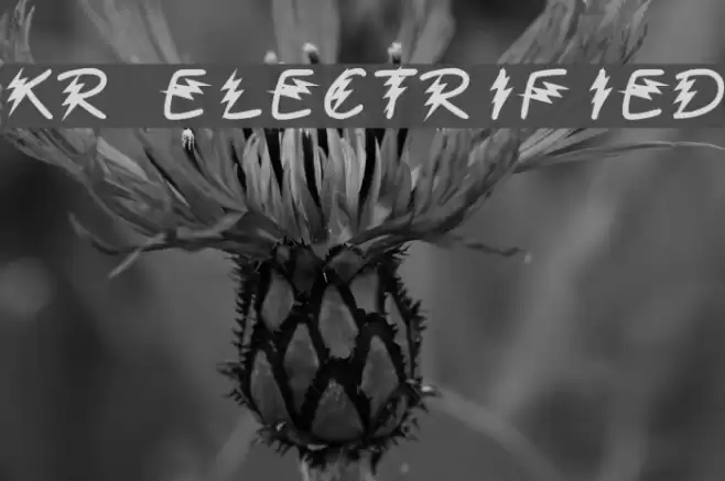 KR Electrified Font examples