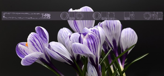 KR Fab Frames and Borders Font examples