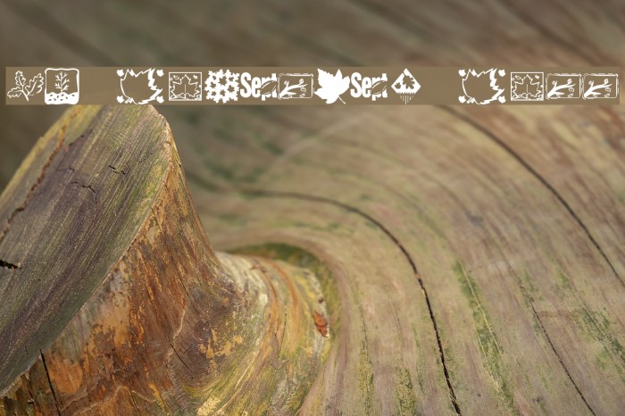KR Fabulous Fall Font examples