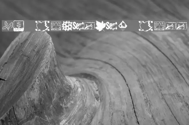 KR Fabulous Fall フォント examples