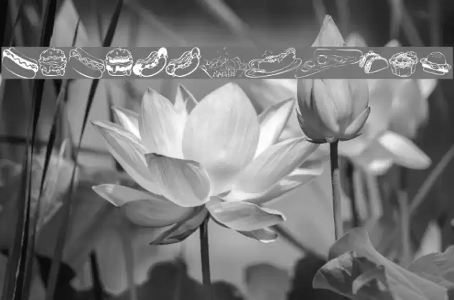 KR Fast Food Font examples