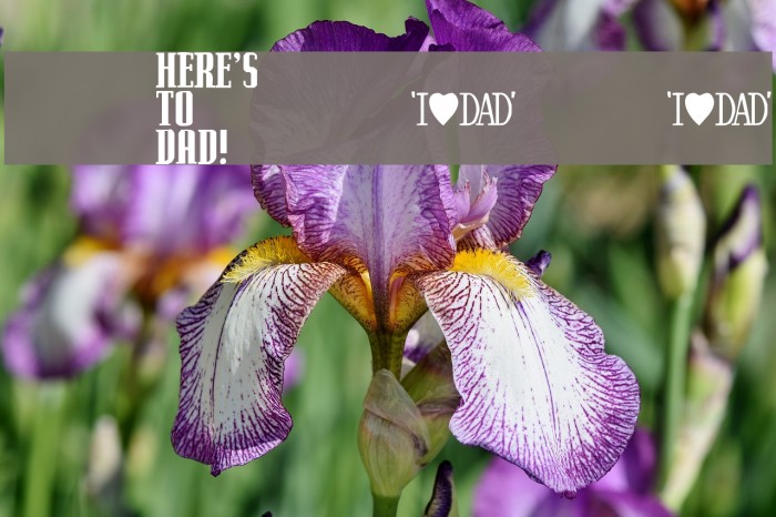 KR Father's Day Dings Example 3