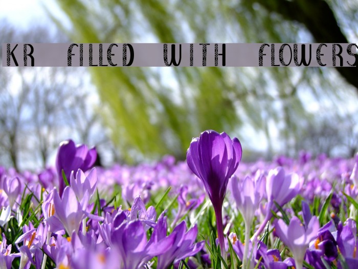 KR Filled With Flowers Font examples