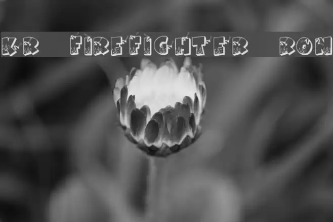 KR Firefighter Ron Font examples