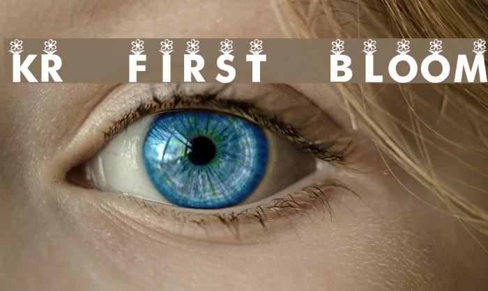 KR First Bloom Font examples