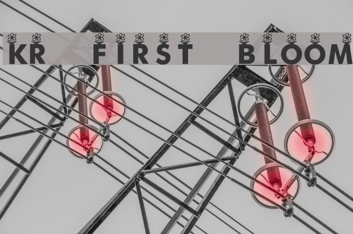 KR First Bloom Font examples