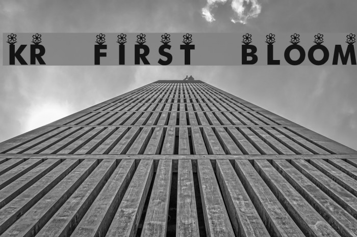 KR First Bloom Font examples