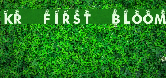 KR First Bloom Font examples