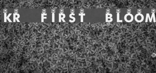 KR First Bloom Font examples