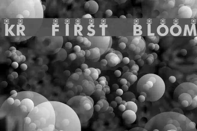 KR First Bloom Font examples