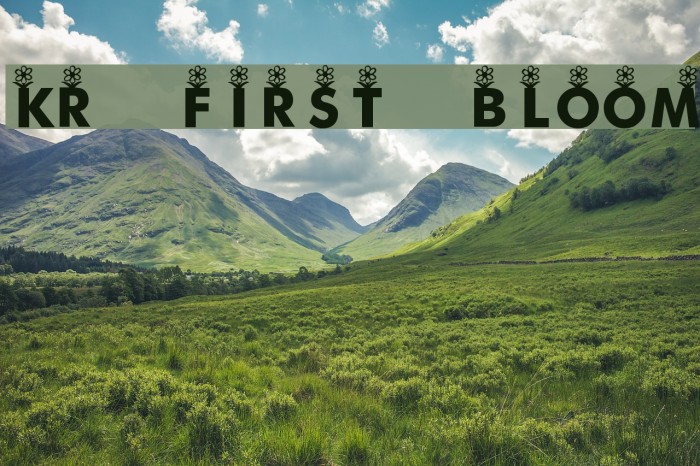 KR First Bloom Font examples