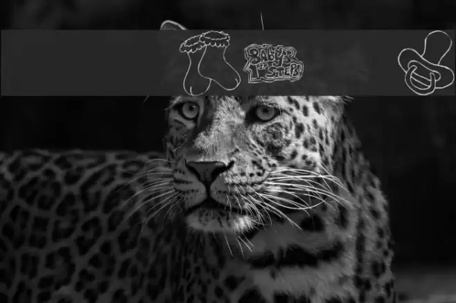 KR First Years Dings Font examples