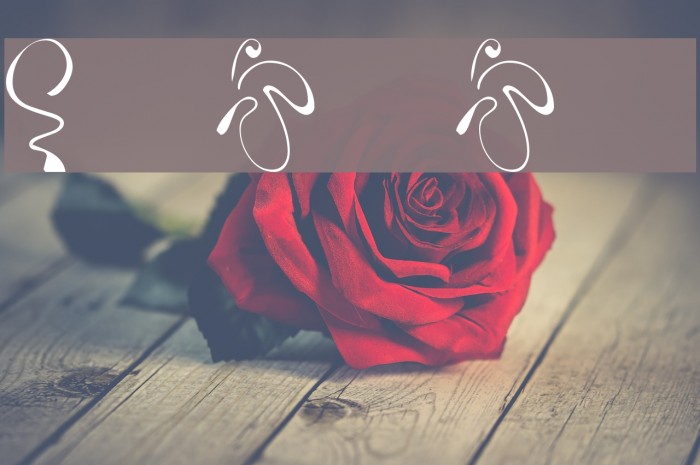 KR Fleur Flair 5 Example 1