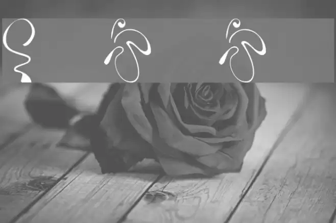 KR Fleur Flair 5 Font examples