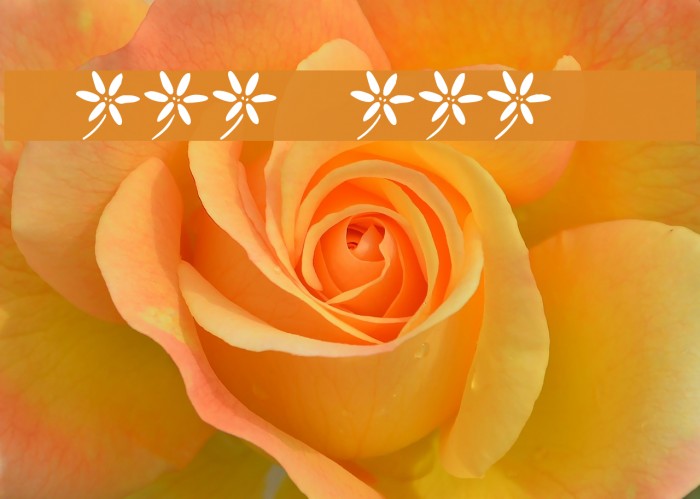 KR Fleur Flair Lines 2 Font examples