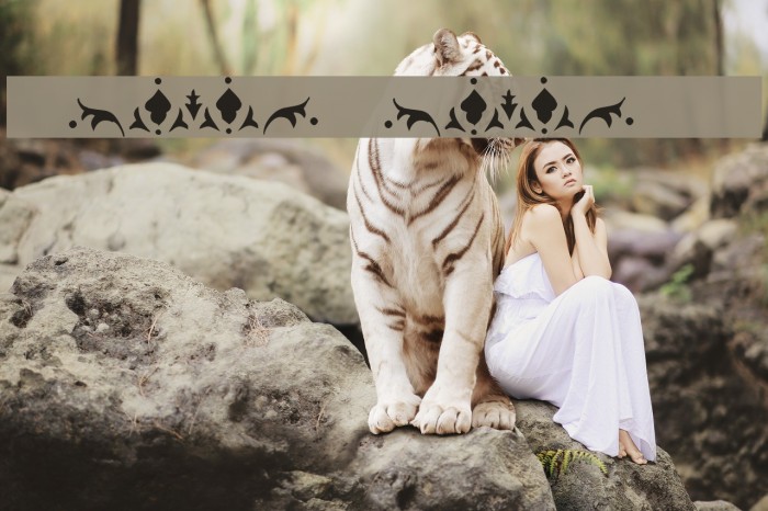 KR Fleur Flair Lines 3 Font examples