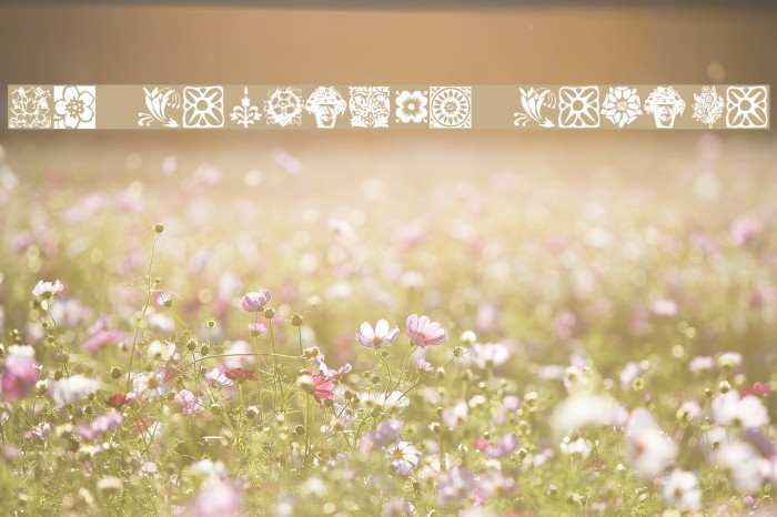 KR Fleurish Floral Font examples