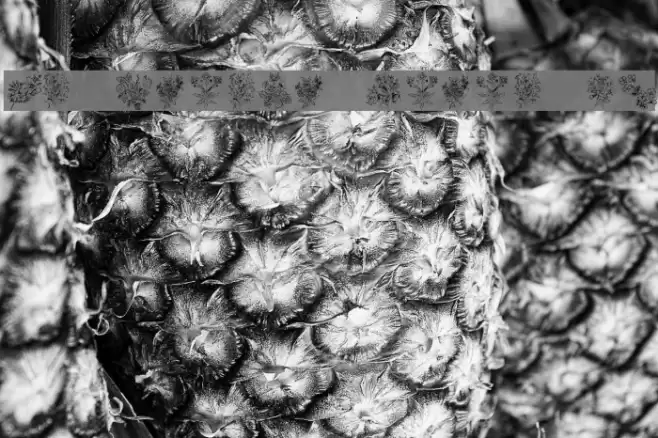 KR Floral Color Me Font examples