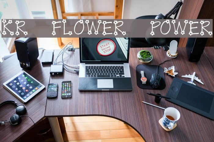 KR Flower Power Font examples