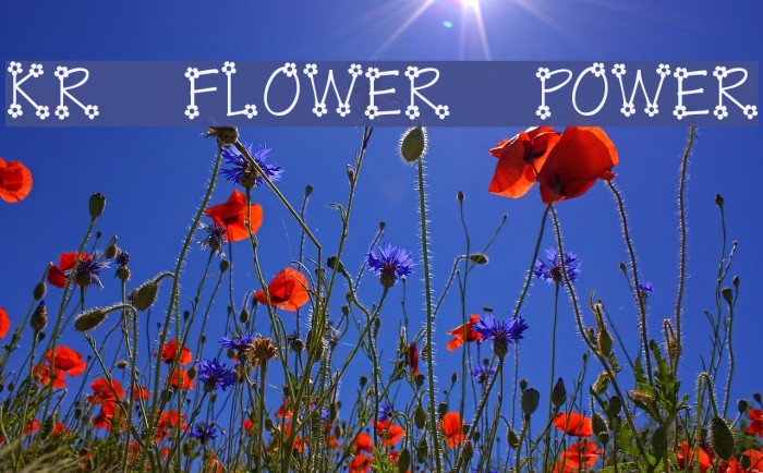 KR Flower Power Font examples