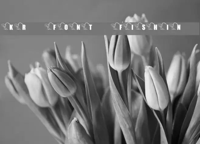 KR Font Fishin 2 Font examples