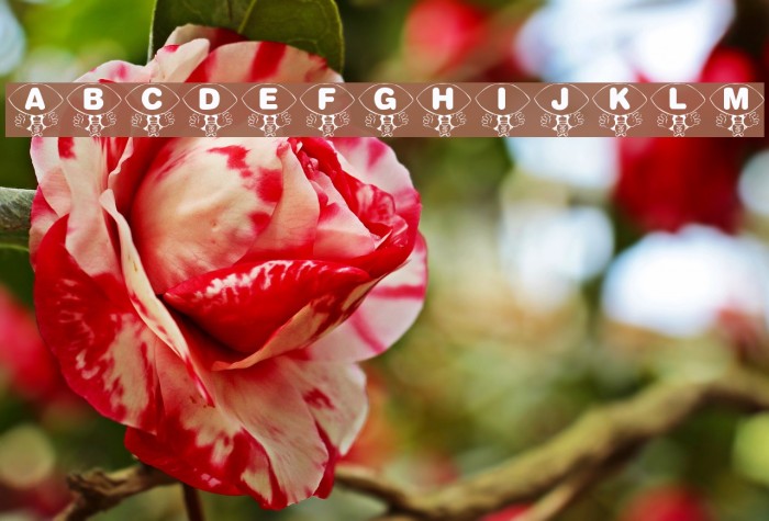 KR Foo'ball Example 2