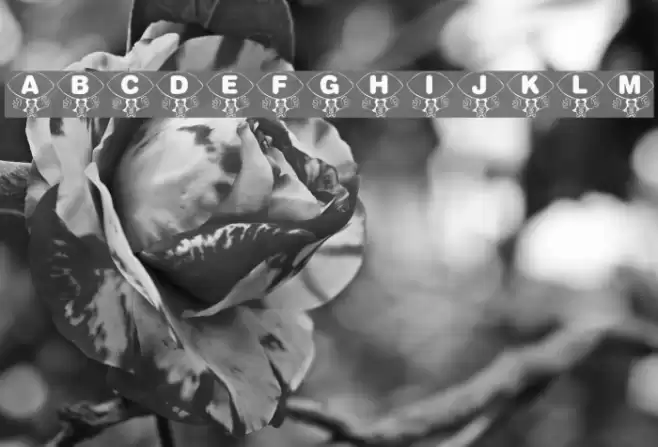 KR Foo'ball Font examples