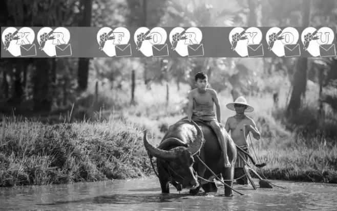 KR For You Font examples