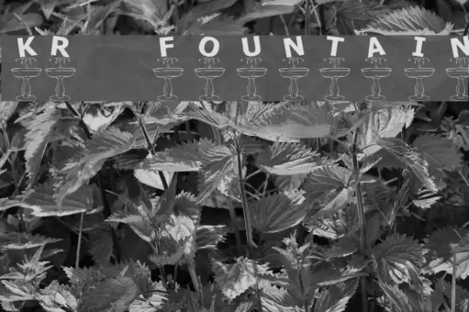KR Fountain Font examples