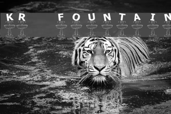KR Fountain Font examples