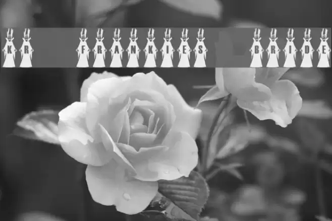 KR Frankie's Bride Font examples