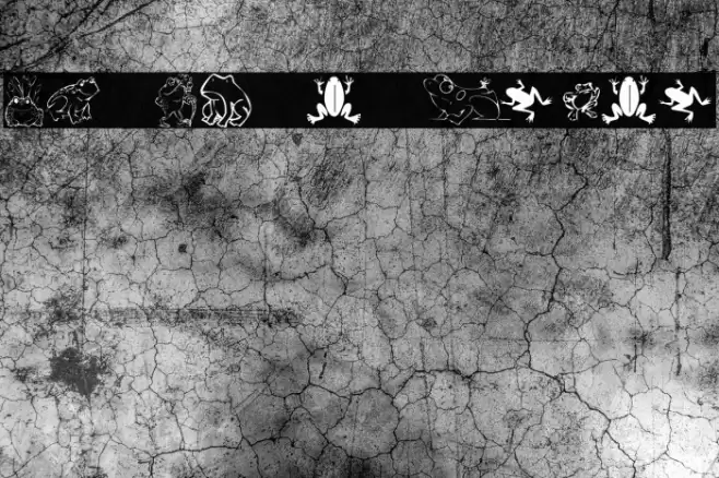 KR Frogs for Jennifer Schriftart examples