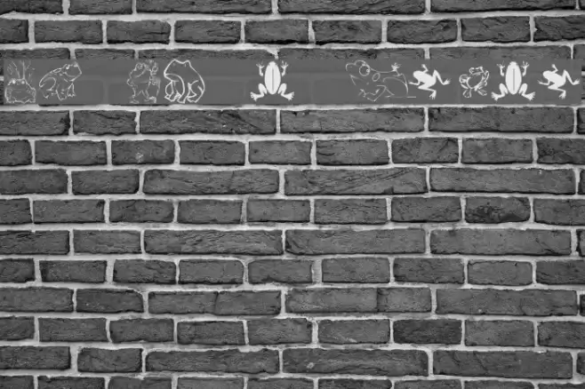 KR Frogs for Jennifer Font examples