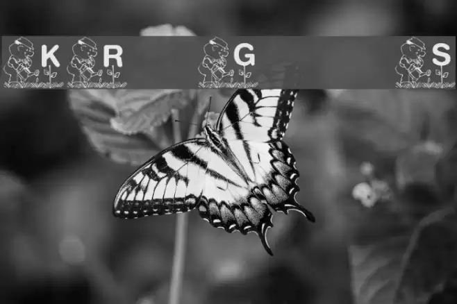 KR Garden for Sue Font examples