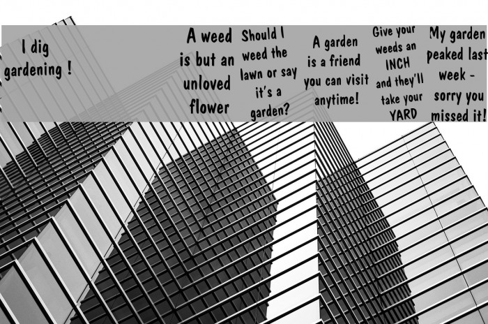 KR Gardenz Font examples