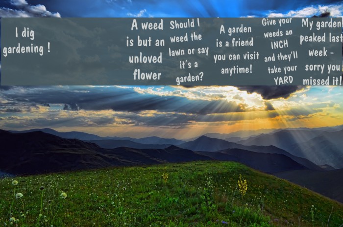 KR Gardenz Font examples