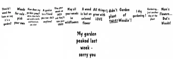 KR Gardenz خط أحرف صغيرة