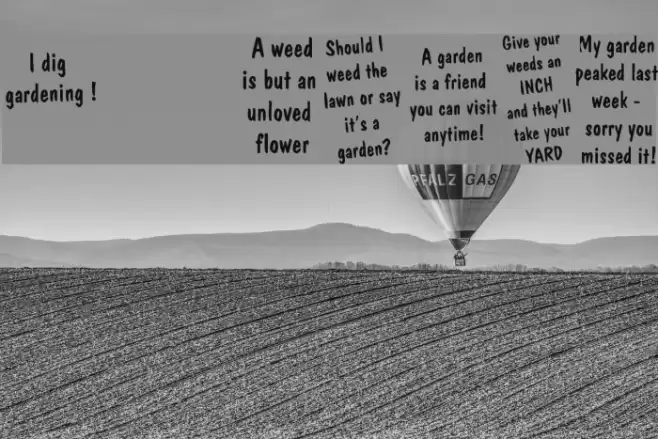 KR Gardenz Font examples