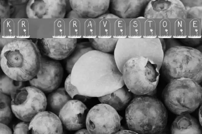 KR Gravestone Font examples
