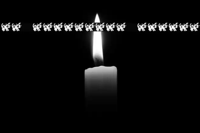 KR Halloween Kitten Font examples